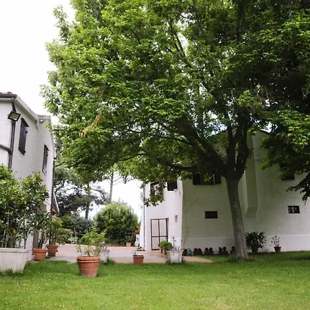 Casa Dei Pini Country House-3